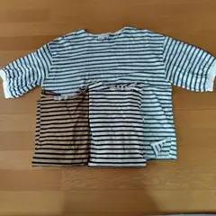 しまむら　シーズンリーズン　Ｔシャツ　Lサイズ　３枚セット