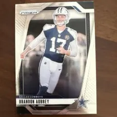 Item thumbnail for item dafe6945-1c6f-4c58-a792-b871e3bd9ef2