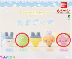 たまごっち カプセルフロッキーズ くちぱっち　ふらわっち