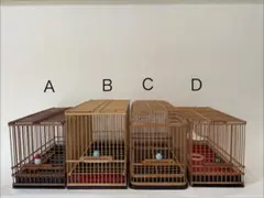 竹製 名人鳥籠 鳥籠職人 倭文鬼久美 倭作 シドリ 尺 鳥カゴ 未使用品