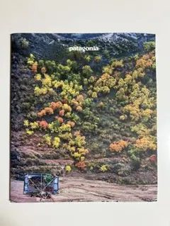 2026年最新】パタゴニアカタログの人気アイテム - メルカリ
