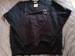 Item thumbnail for item 89e2d722-390c-4033-9b17-fc774dec3d0b