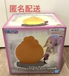 ワンピース　ジュエリー・ボニー　ルームライト　-父の記憶-