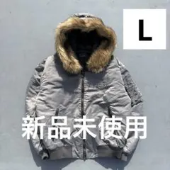 Item thumbnail for item 02db6301-f518-462e-9a2d-496730efc21f