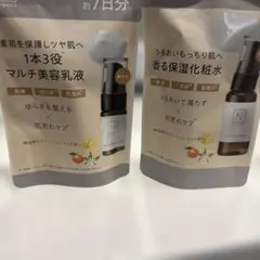 N organic Basic トライアルセットのサムネイル