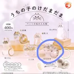 ばなな様 リクエスト 2点 まとめ商品