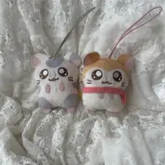 マフラーちゃん こうしくん とっとこハム太郎 ガチャ かぷっこフレンズ