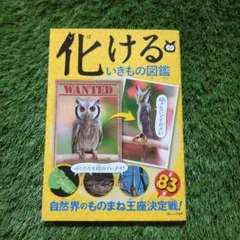 Item thumbnail for item bbc76c1d-a5c5-4ab2-bdcf-2a8b6a99d9e0