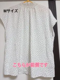 Item thumbnail for item 8b2e3d84-2a30-4c8d-8c78-0b29d2939a5d