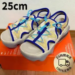 新品未使用 エアーマックスココ 25cm