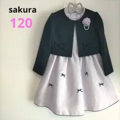 sakura　ダイヤモンドジャガードアンサンブル　120