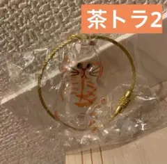 ガチャガチャ　猫　けだま　うちの子のけだまだま　ノーマル　サバトラ　ハチワレ