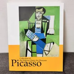 ピカソ 彫刻の森美術館コレクション 図録 Picasso アート ピカソ館
