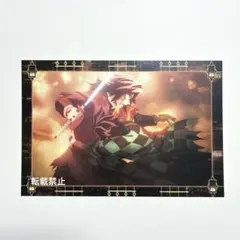 鬼滅の刃　冨岡義勇　竈門炭治郎　半券キャンペーン　ポストカード　無限城