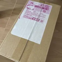 ポケモンセンター トウホク スペシャルBOX シュリンク付き