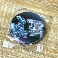 ポケットモンスター ダイヤモンド・パール 缶バッジ ディアルガ パルキア 未開封