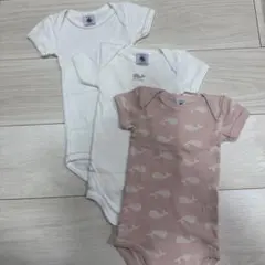 プチバトー　半袖ボディ3枚組　6m