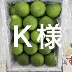 ハウスへべす1kg （さがわクール便配送） - メルカリ