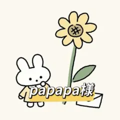 papapa様 リクエスト 5点 まとめ商品