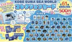 神戸須磨シーワールド コレクションカード イルカSR とシャチ レア 3枚