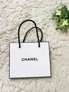 CHANEL ショップ袋