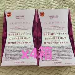 MENARD スタイルアシスト 4箱セット値下げ不可のサムネイル