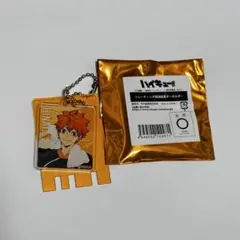 ハイキュー!! トレーディング　キーホルダー 日向翔陽　極楽湯