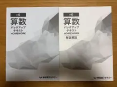2026年最新】早稲田アカデミーバックアップテキストの人気アイテム