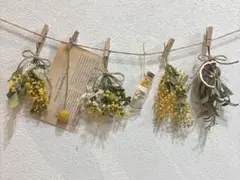 Item thumbnail for item 8bed3d56-b9e7-4680-9e42-27849cf47270