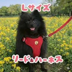 Lサイズ リード＆ハーネス 赤