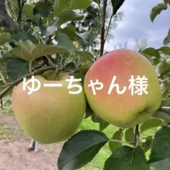 ゆーちゃん様専用ページ✨4kg