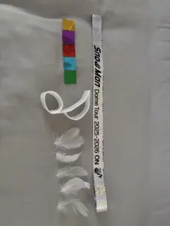 Snow Man Dome Tour 2025-2026 ON 落下物セット