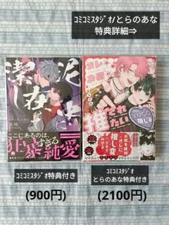 5月新刊 エタニティブックス3月新刊2冊 エタニティブックス メルカリ - 2冊 文学・小説