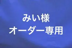 ◉みい様オーダー専用◉ハンドストラップ 黒×黒 パラコード