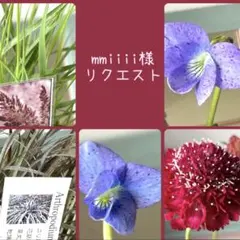 mmiiii様　リクエスト　おまとめ５点