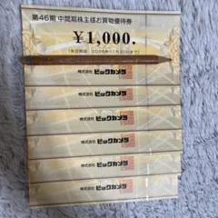 ビックカメラ　株主優待のサムネイル