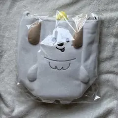 FANLIGHTバッグ トニャンドク ウォンビン RIIZE ペンライトケース