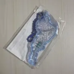 【未開封】琵琶湖アクリルキーホルダー 道の駅 マキノ追坂峠 メタセコイア 水色
