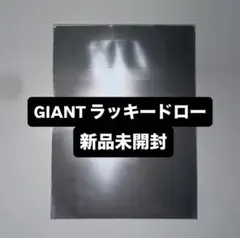 straykids GIANT タワレコ HMV ラキドロ トレカ 未開封 ×1