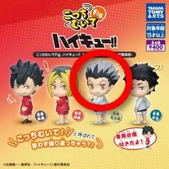 こっちむいて! Fig. ハイキュー!! 木兎光太郎