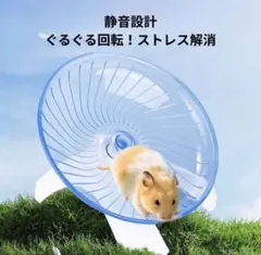 Item thumbnail for item 7b088780-9733-4a4c-8dcf-b901a085e298