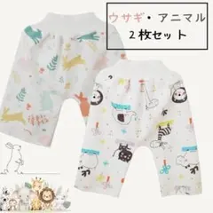 Item thumbnail for item 19512c31-4cdb-4d7e-a964-da898eae3e40