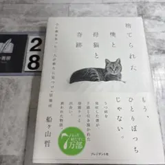捨てられた僕と母猫と奇跡 : 心に傷を負った二人が新たに見つけた居場所