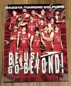 ★名古屋ダイヤモンドドルフィンズ★2024-25シーズン公式フォトブック★