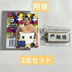 大相撲　翔猿　幕内全員カードステッカー　応援タオル風ウッドキーホルダー2点セットのサムネイル