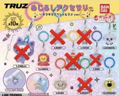 TRUZ TREASURE めじるしアクセサリー