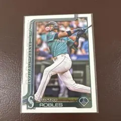 Item thumbnail for item aba46528-14fc-4a9a-bac8-ce58be1827fc