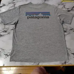 patagonia キャプリーンクールデイリー S グレーのサムネイル