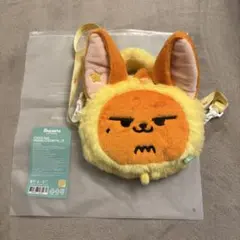 TXT 판춘 크로스백 풀바투