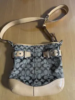 COACH ショルダーバッグ　ハンドバッグ 2way